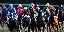 コロナ禍でおススメのお家でできる競馬予想